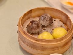 -京华世纪酒店·潮苑大酒楼(益华百货店)
