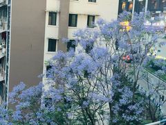 -龙湖重庆时代天街
