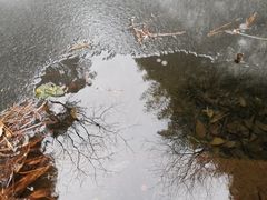 -东天目山风景区