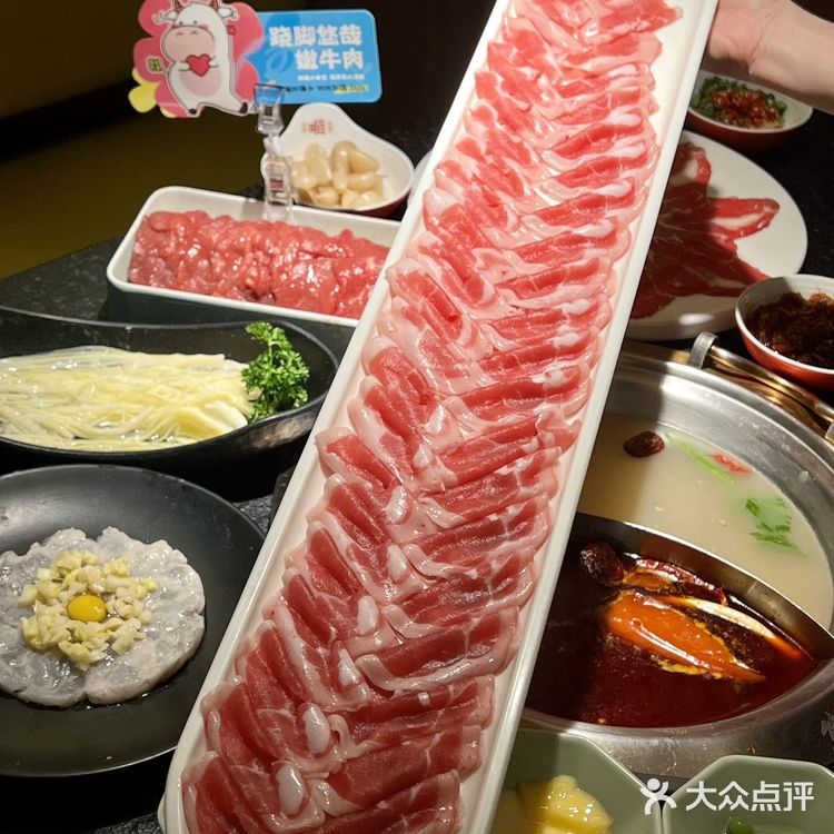 这个春天🌸熊喵来了实在太会了🐼