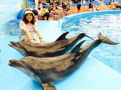-尼莫海豚馆