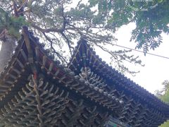 -藏山旅游风景区