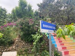 -桃源山庄·水蜜桃采摘·柴火鸡·烧烤团建(龙泉山店)