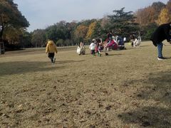 -杭州城北体育公园