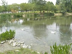 -两河城市森林公园