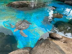 -海合安成都极地海洋公园