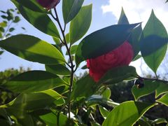 -洛龙公园