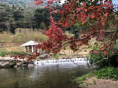 -广州市石门国家森林公园