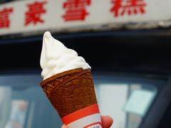 -富豪雪糕车流动点(尖沙咀店)