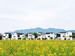 -东梓关景区村庄