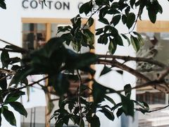 -COTTON CAFE(德信·中外公寓店)
