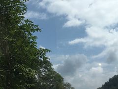 -牛背梁国家森林公园