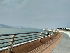 -演武大桥观景平台