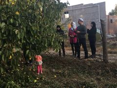 -尕胡才炕锅烤羊肉馆(八一路店)