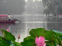 向湖面望去-东岸Cafe 爵士俱乐部