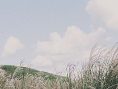 -东钱湖旅游度假区