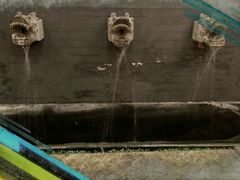 景观位-羲和雅苑•北京烤鸭(平安国际金融中心店)