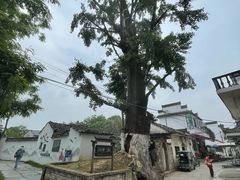 -新安江山水画廊风景区