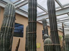 -正佳雨林生态植物园