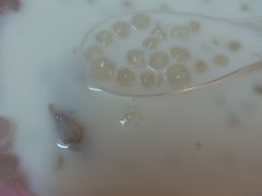 -小草糖水(海棠村店)