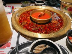 -哥老官重庆美蛙鱼头(日月光店)