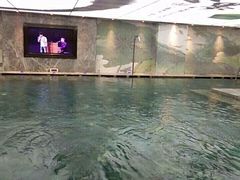 -海洋之星休闲汗蒸浴场