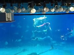 -烟台海昌鲸鲨海洋公园