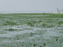 -阳澄湖半岛旅游度假区
