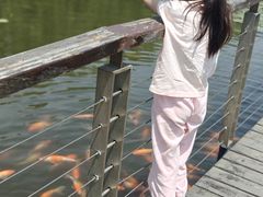 -昆山城市生态森林公园