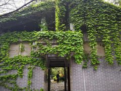 -南山植物园