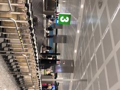 -米兰马尔彭萨国际机场