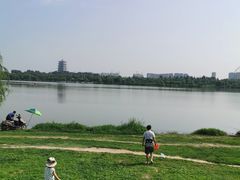 -灞河西岸滨河公园
