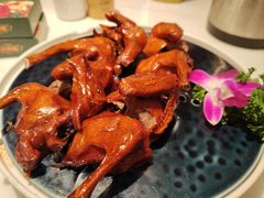 -大鸽饭(马王堆店)