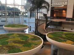 -上海外滩茂悦大酒店