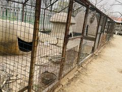 -意大利农场度假村