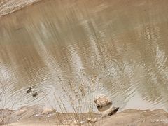 -胖子鱼·天水麻辣鱼火锅(秦州407店)