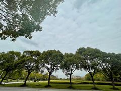 -东华大学(松江校区)