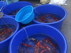 -华声天桥民俗文化园