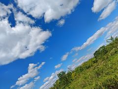 -盐城丹顶鹤湿地生态旅游区