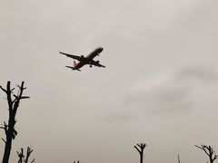 -空港花田景区
