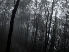 -午潮山国家森林公园