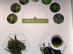 -中国茶叶博物馆(双峰馆区)