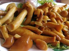 -爱膳菌锅锅(阳南店)