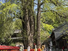 -潭柘寺景区