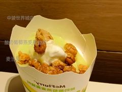 酸奶葡萄燕麦麦旋风-麦当劳(中骏世界城店)