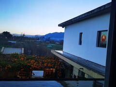 -翠田Green Field Kitchen