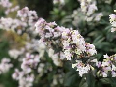 -苏州河梦清园环保主题公园