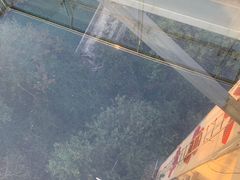 -客天下恐龙水晶玻璃桥