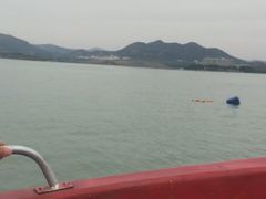 -大舜天成游泳馆(山大路店)