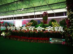 -万顷园艺世界